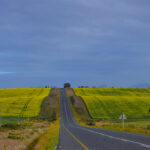 Bredasdorp-Gallery-06